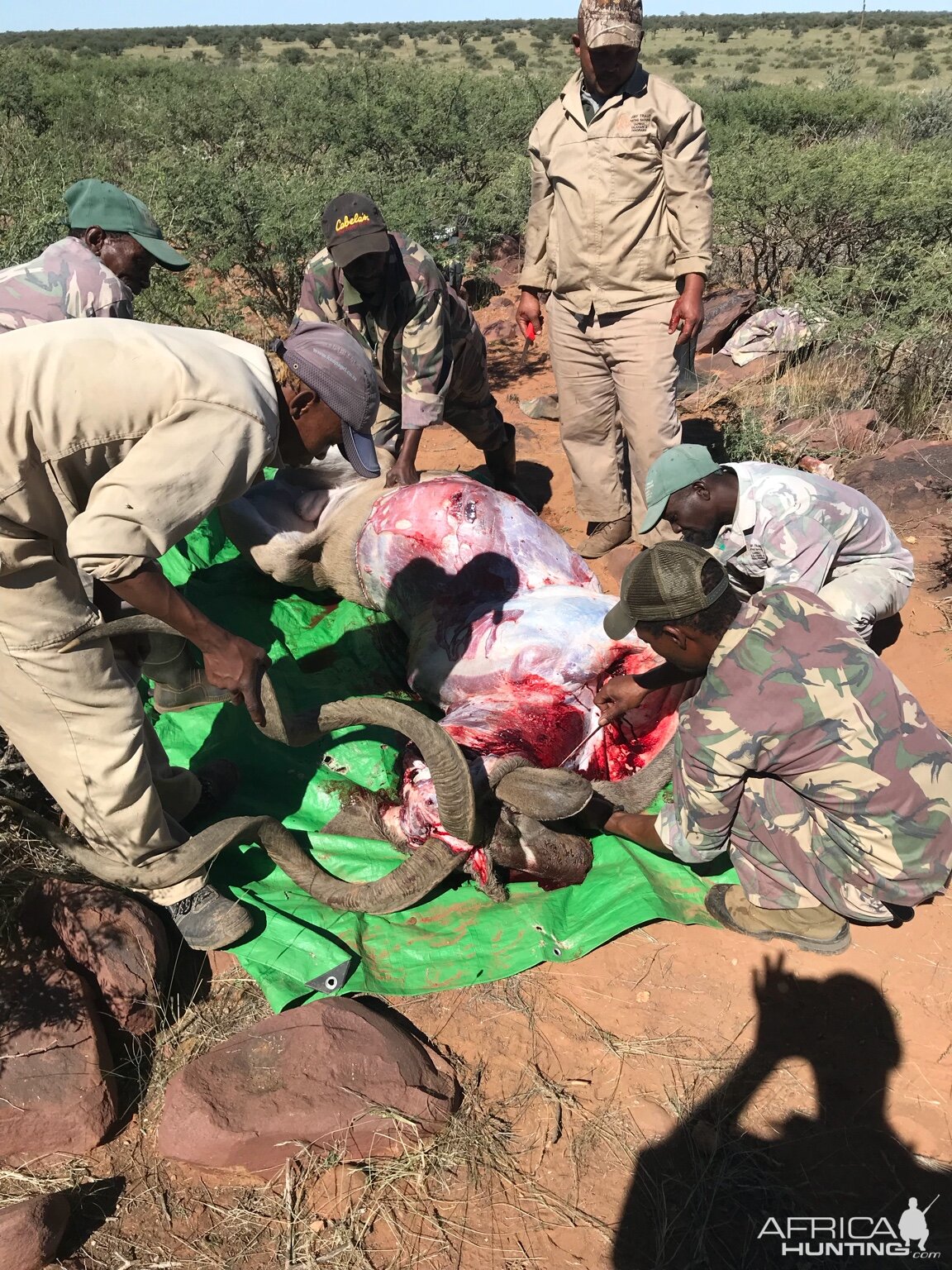 Kudu Hunt Namibia