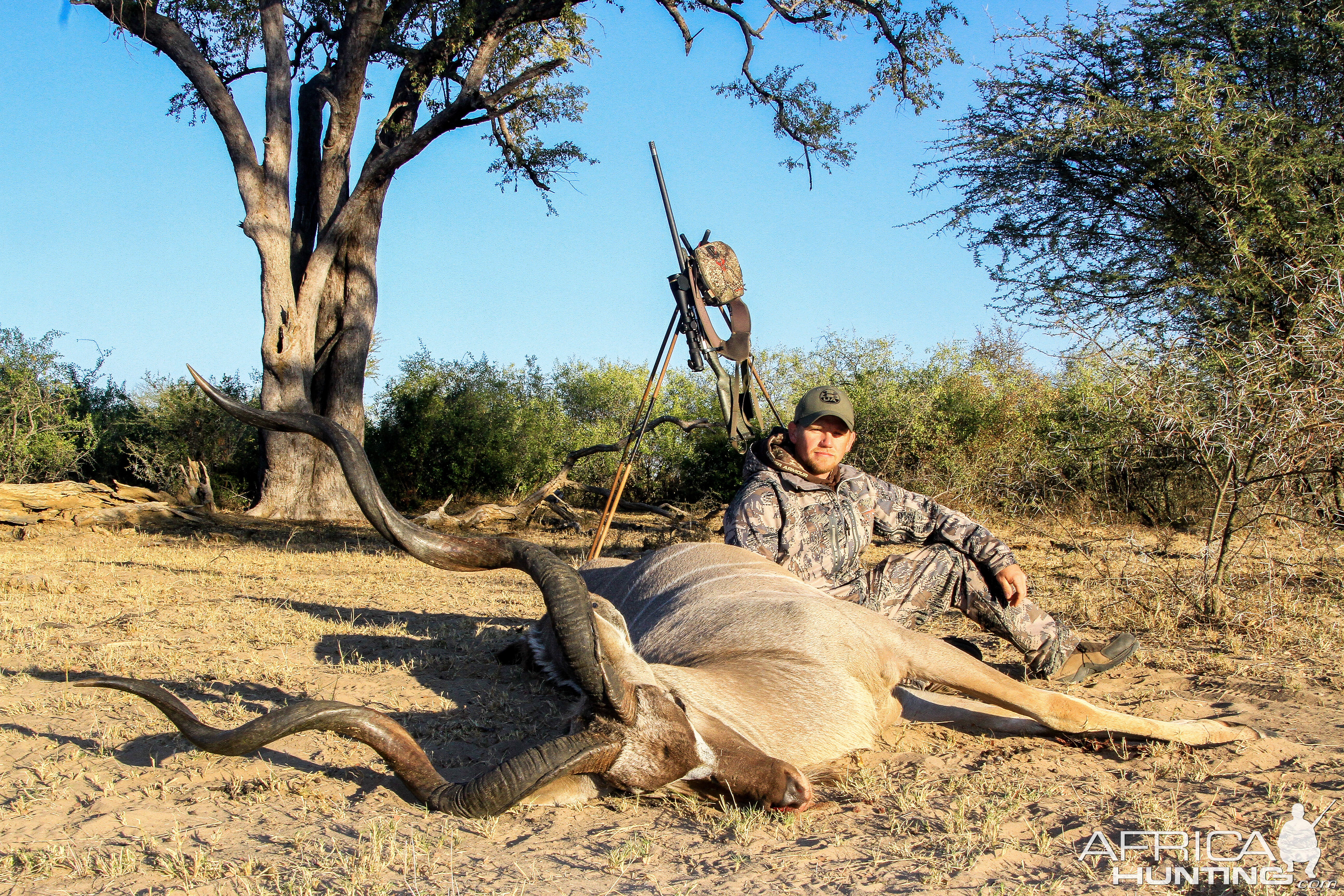 Kudu Hunt Namibia