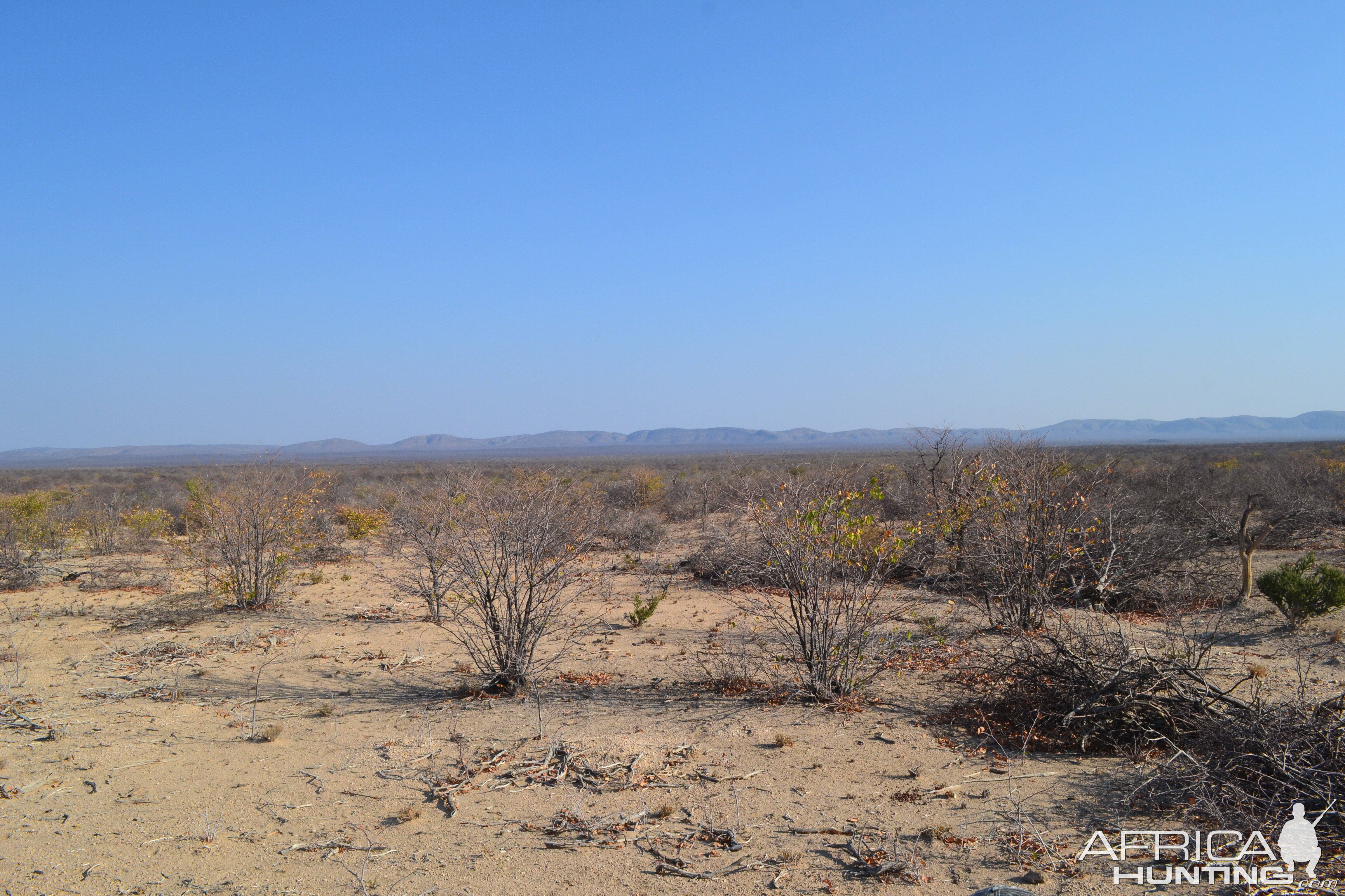 Kudu Hunt Namibia