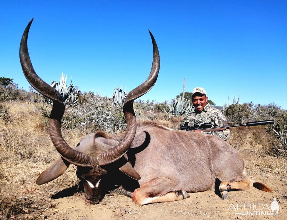 Kudu Hunt South Africa