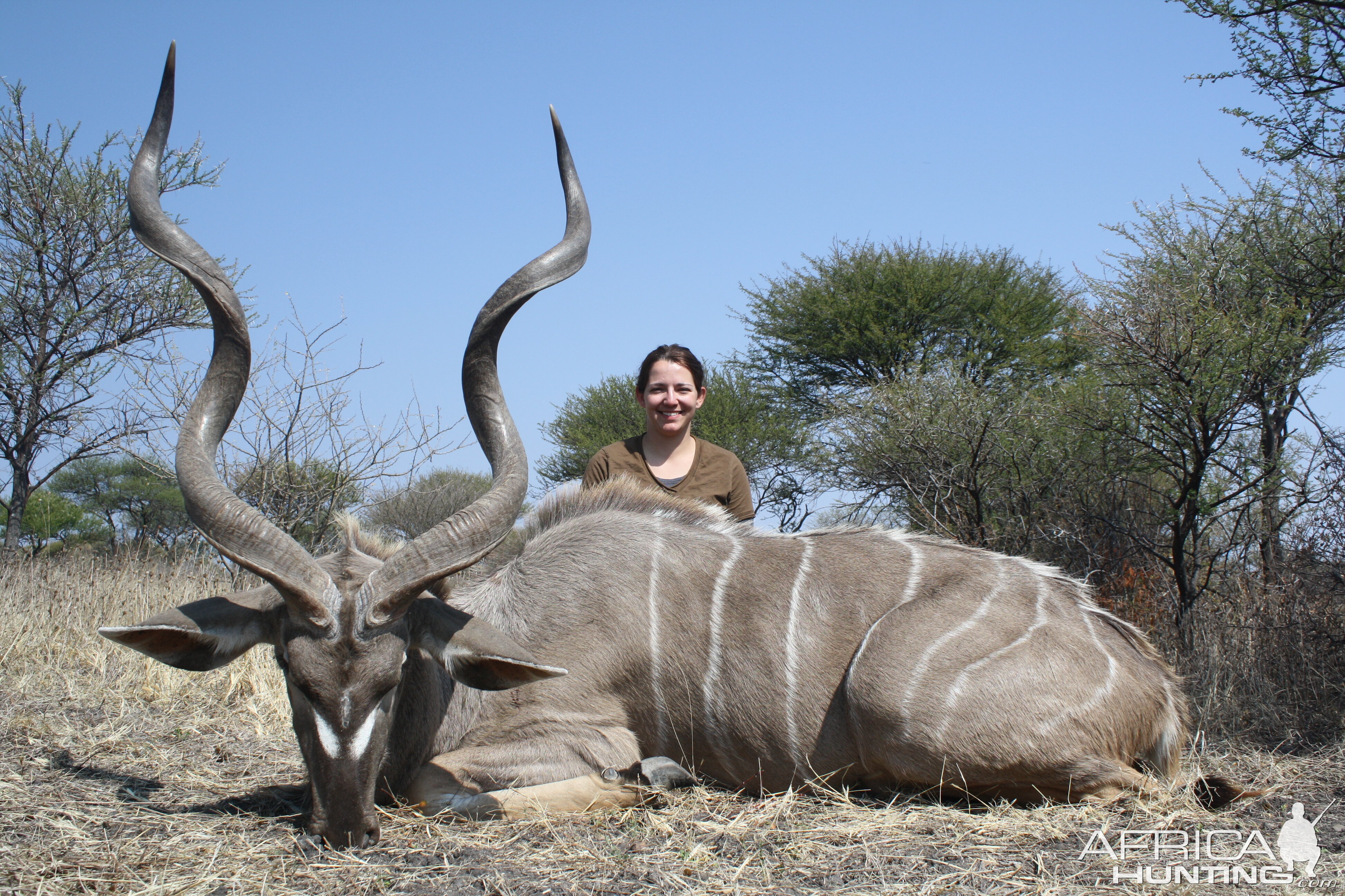 Kudu Hunt South Africa