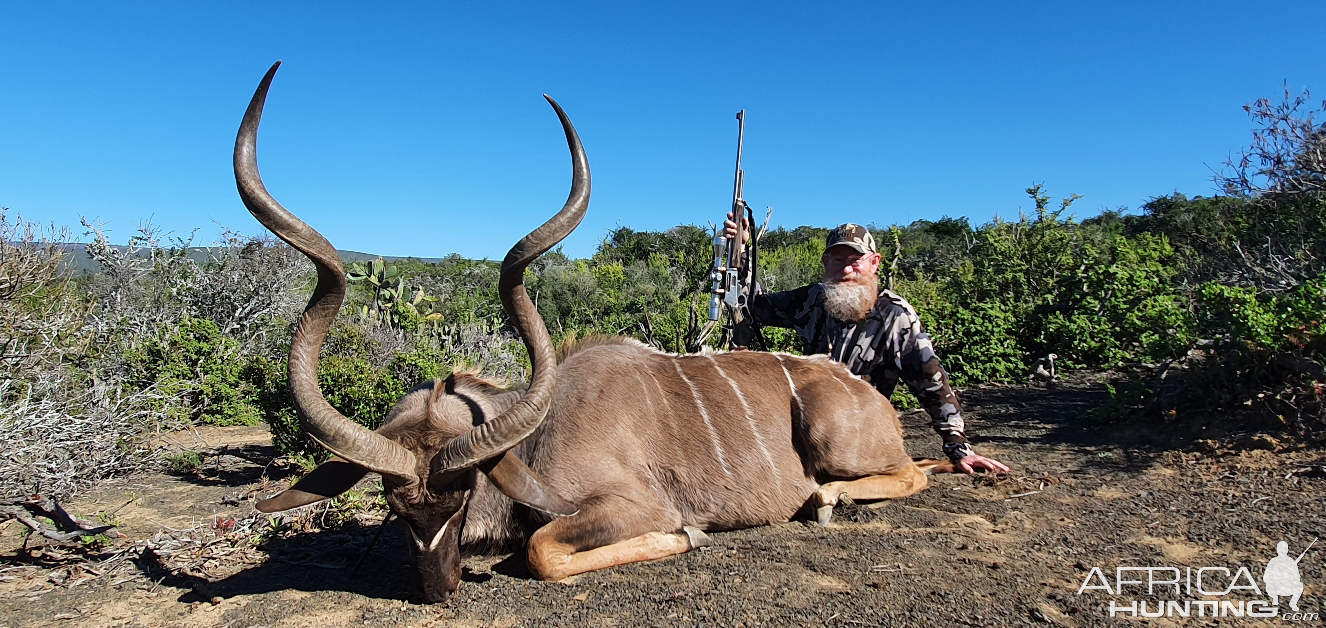 Kudu Hunt South Africa