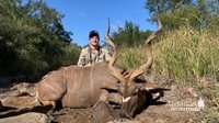 Kudu Hunt South Africa