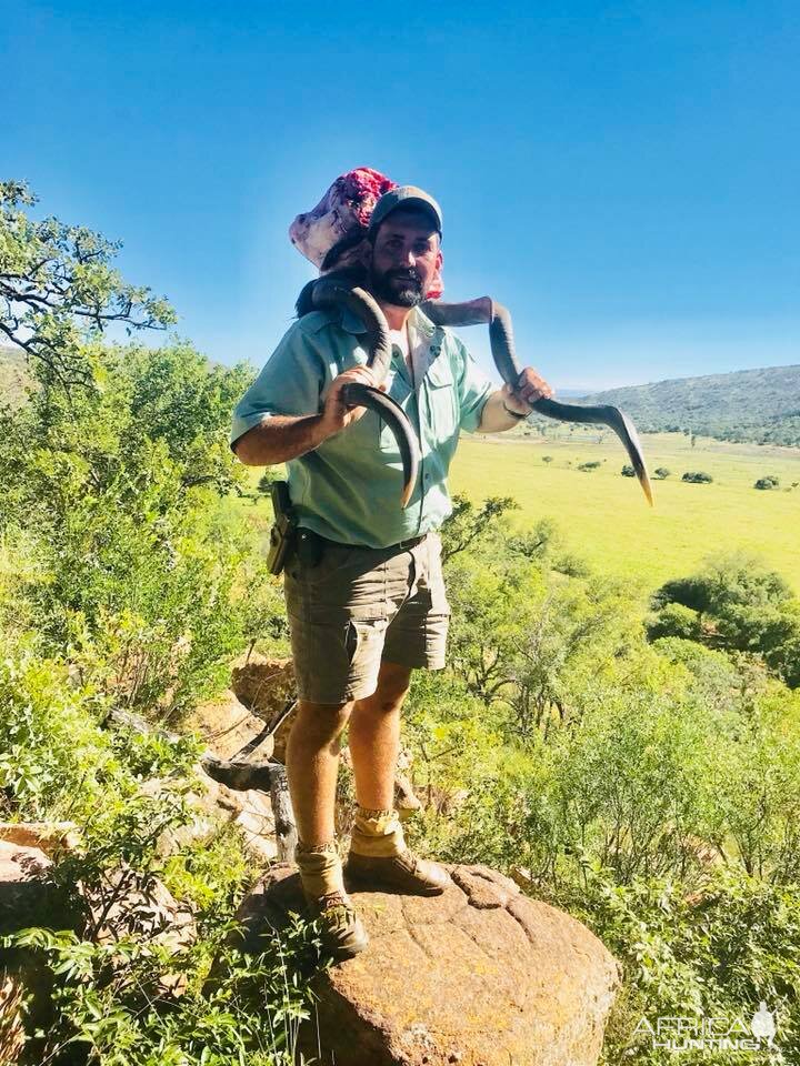 Kudu Hunt South Africa