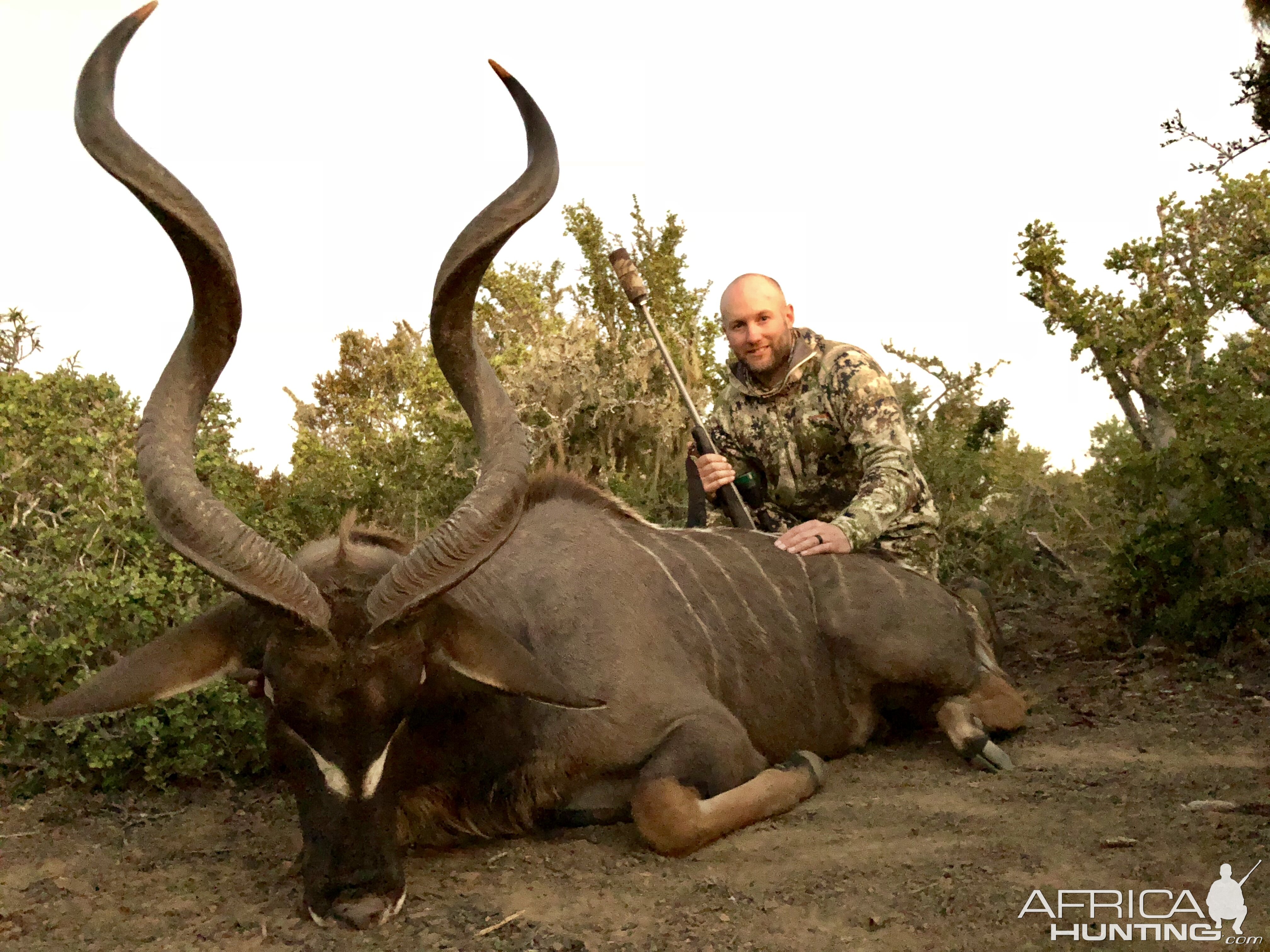 Kudu Hunt South Africa