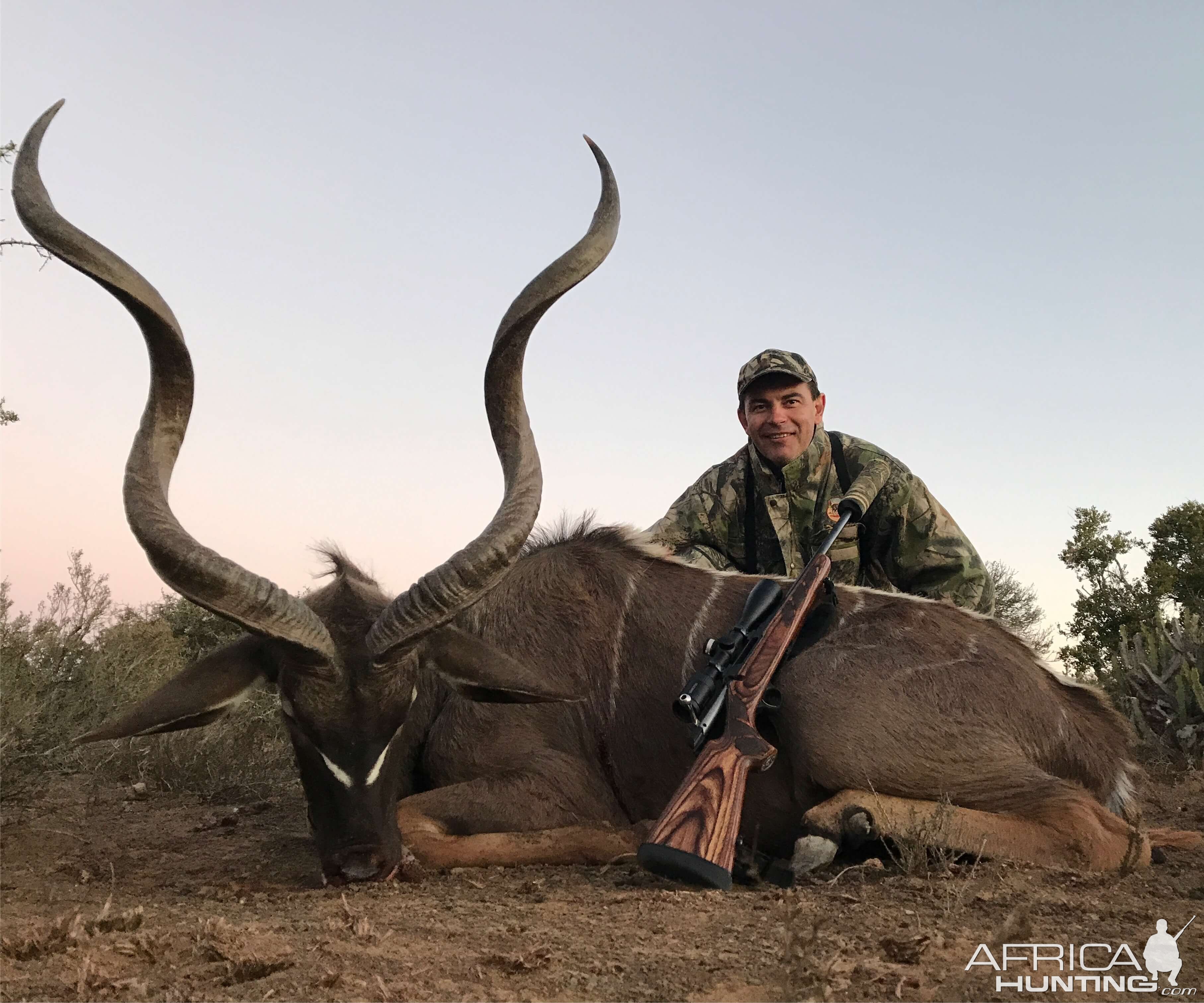 Kudu Hunt South Africa