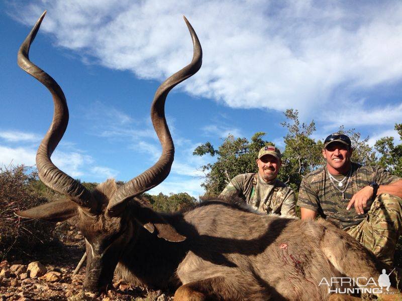 Kudu Hunt South Africa