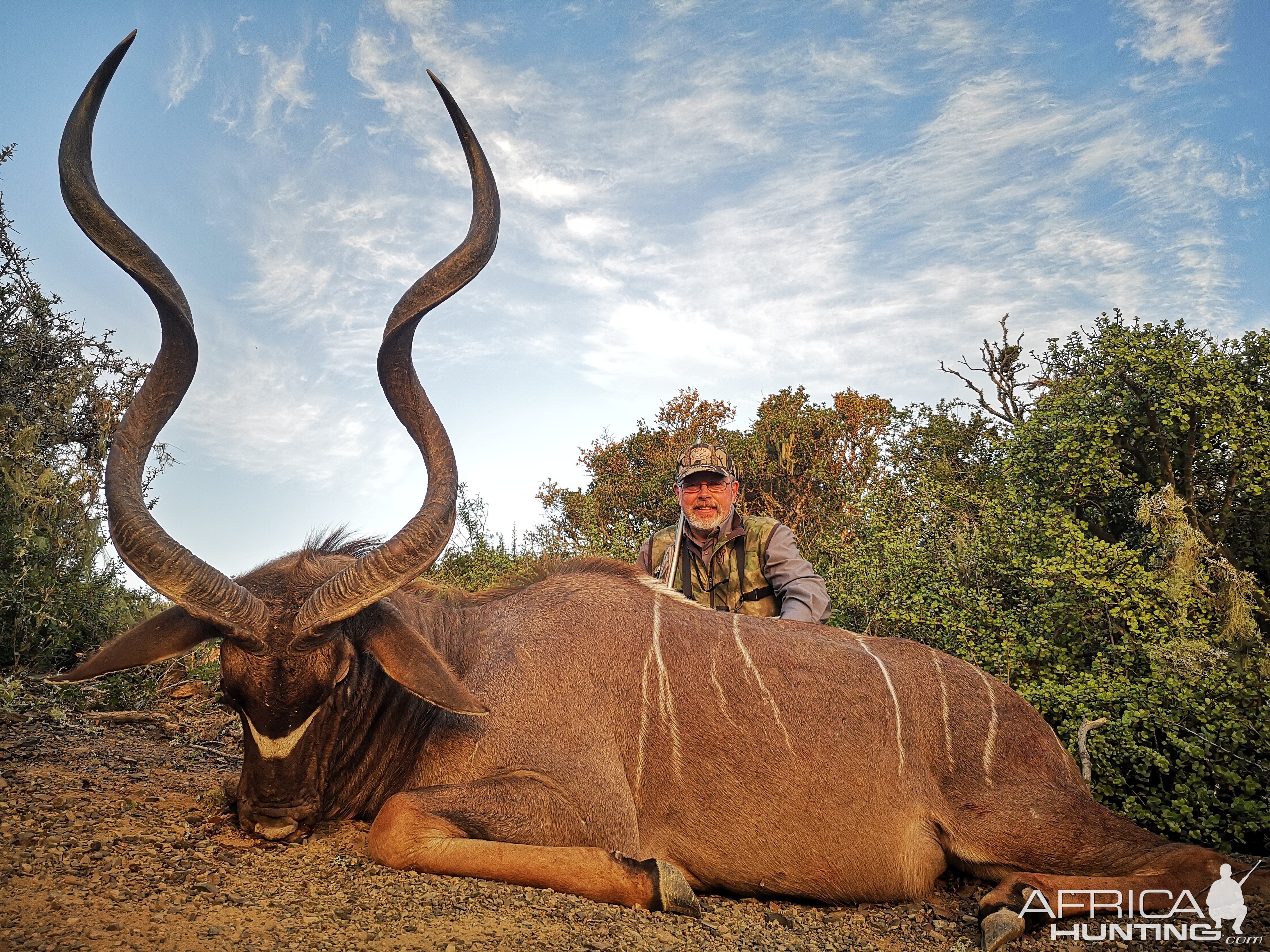 Kudu Hunt South Africa