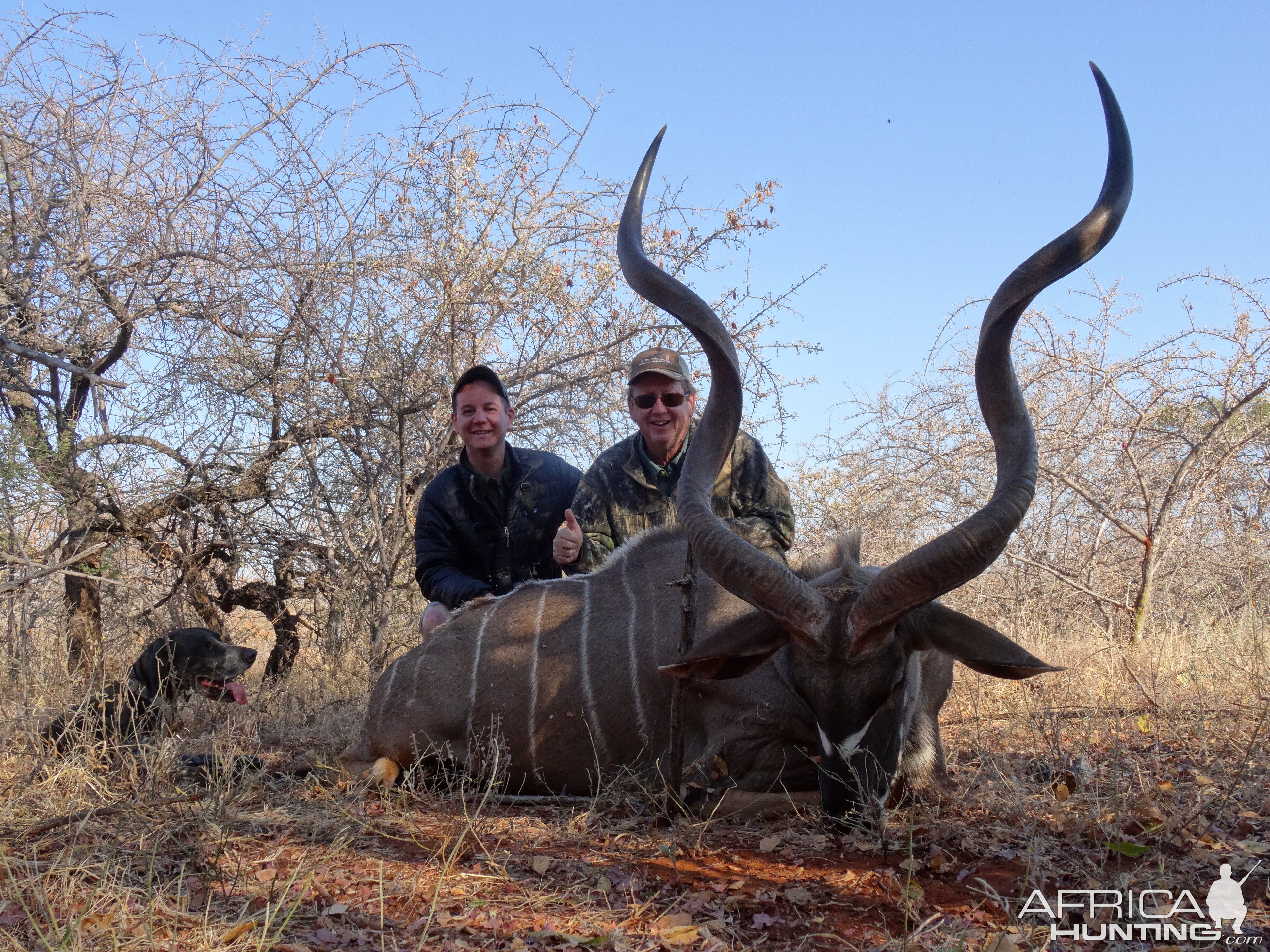 Kudu Hunt South Africa