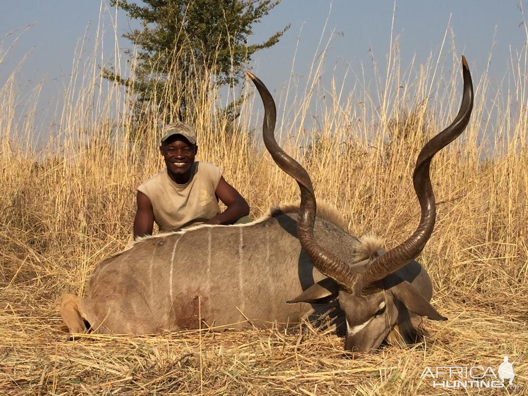 Kudu Hunt Zimbabwe