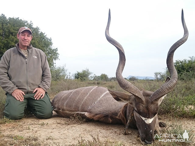 Kudu Hunt