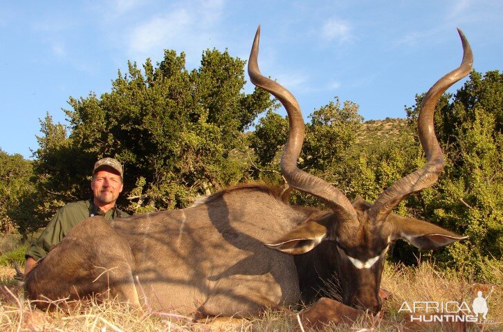 Kudu Hunt