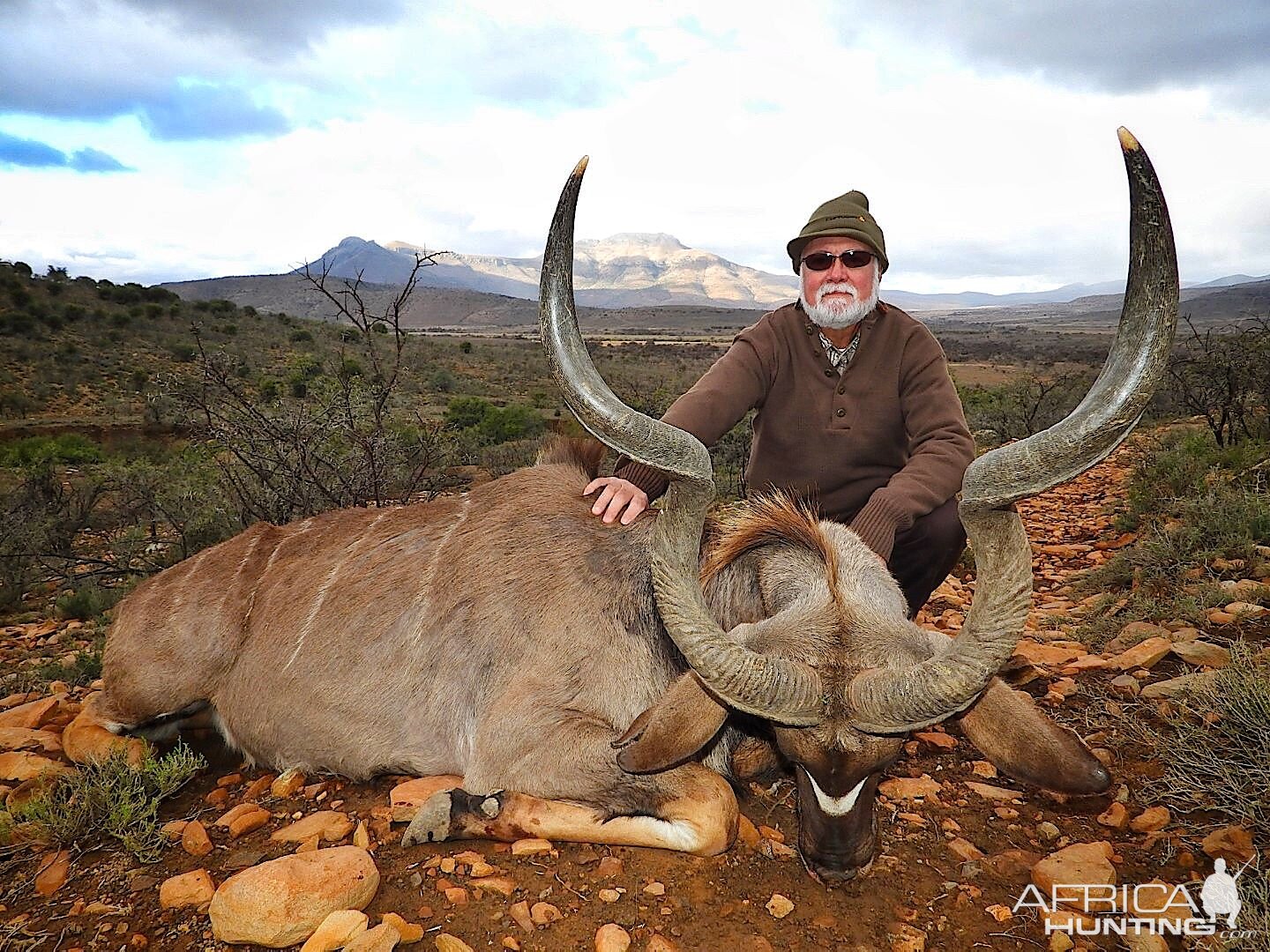 Kudu Hunting Eastern Cape Somerset East South Africa