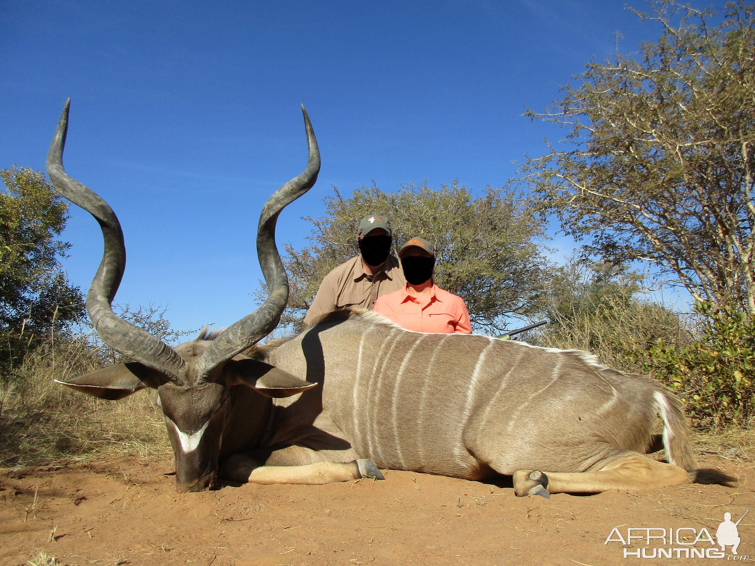 Kudu Hunting in South Africa