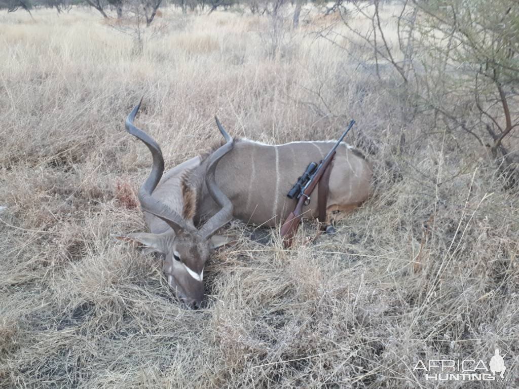 Kudu Hunting Limpopo South Africa