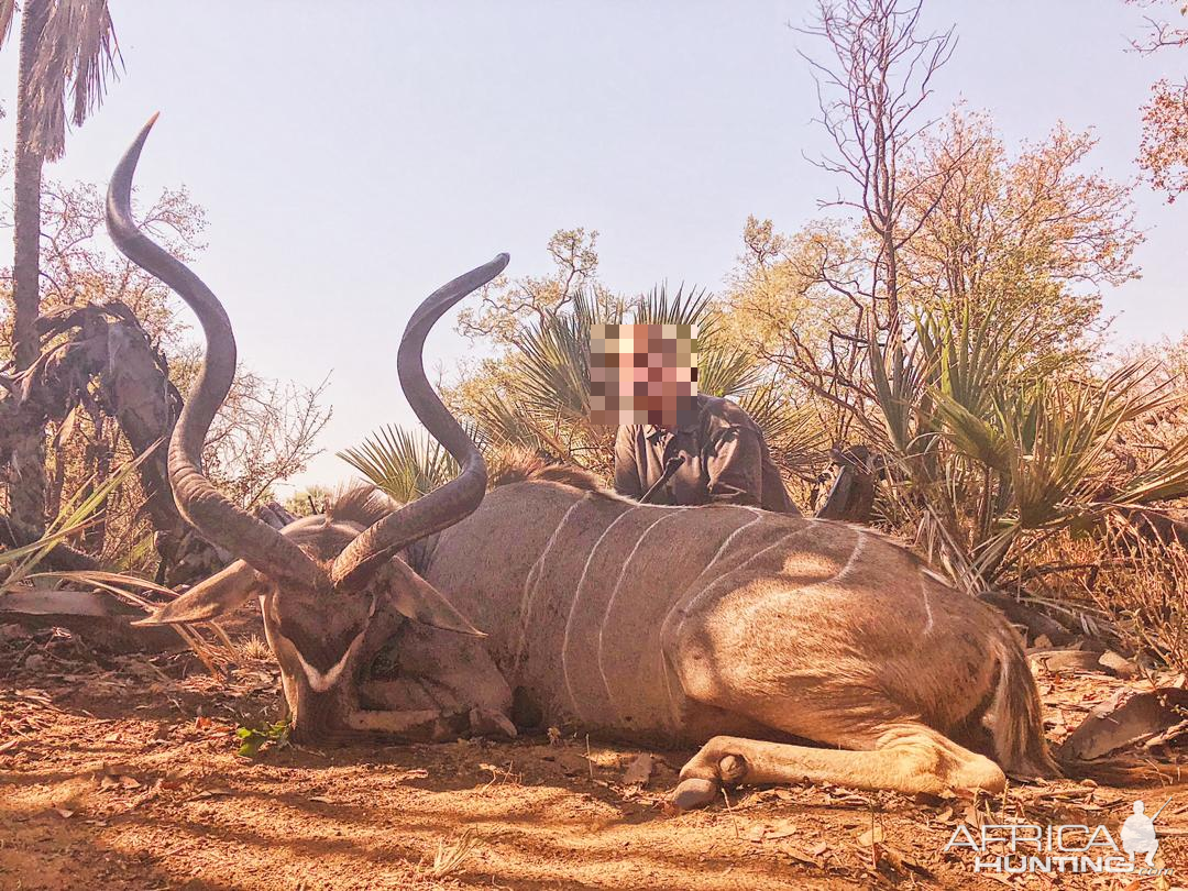 Kudu Hunting Namibia