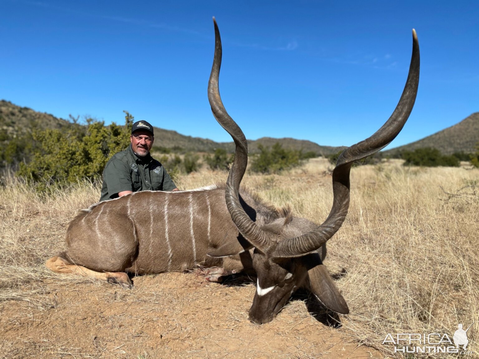 Kudu Hunting South Africa