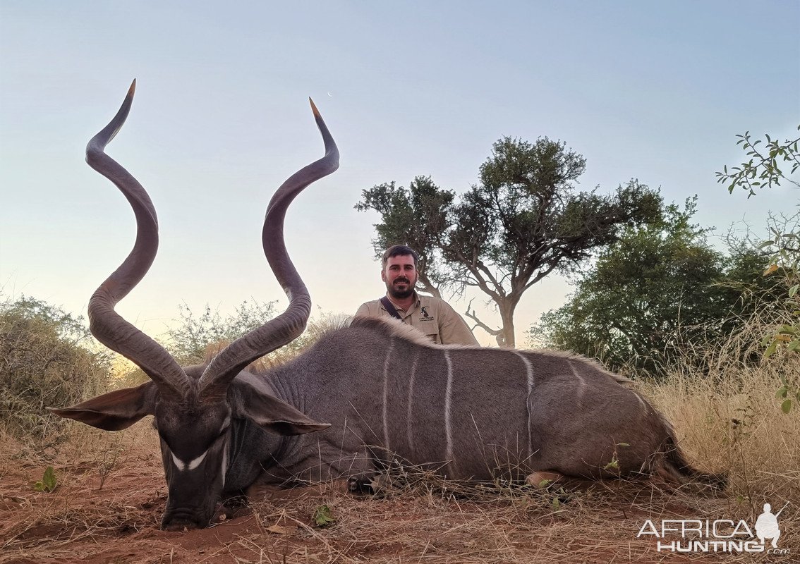 Kudu Hunting South Africa