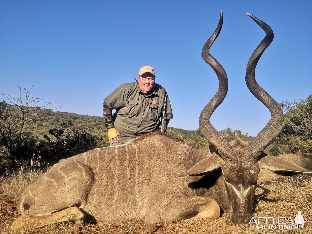 Kudu Hunting South Africa