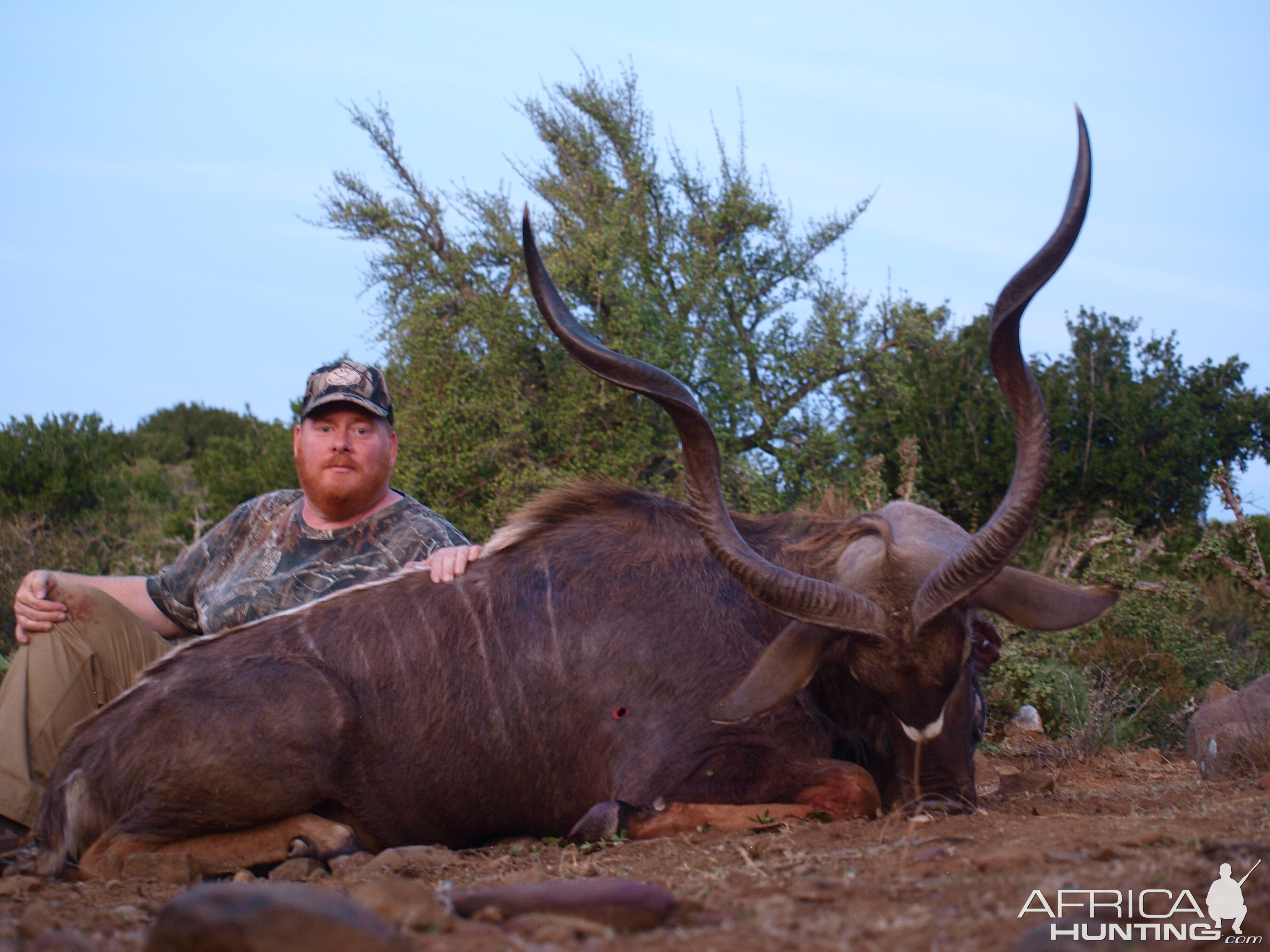 Kudu Hunting South Africa