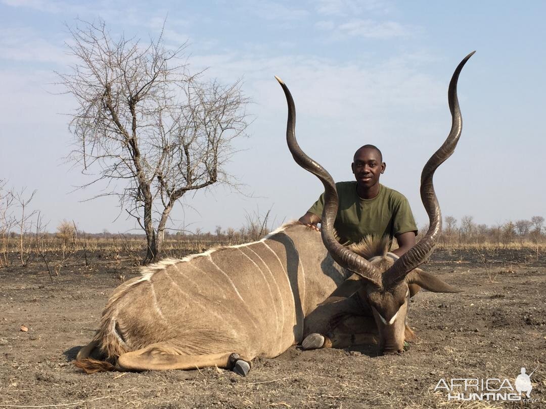 Kudu Hunting Zimbabwe