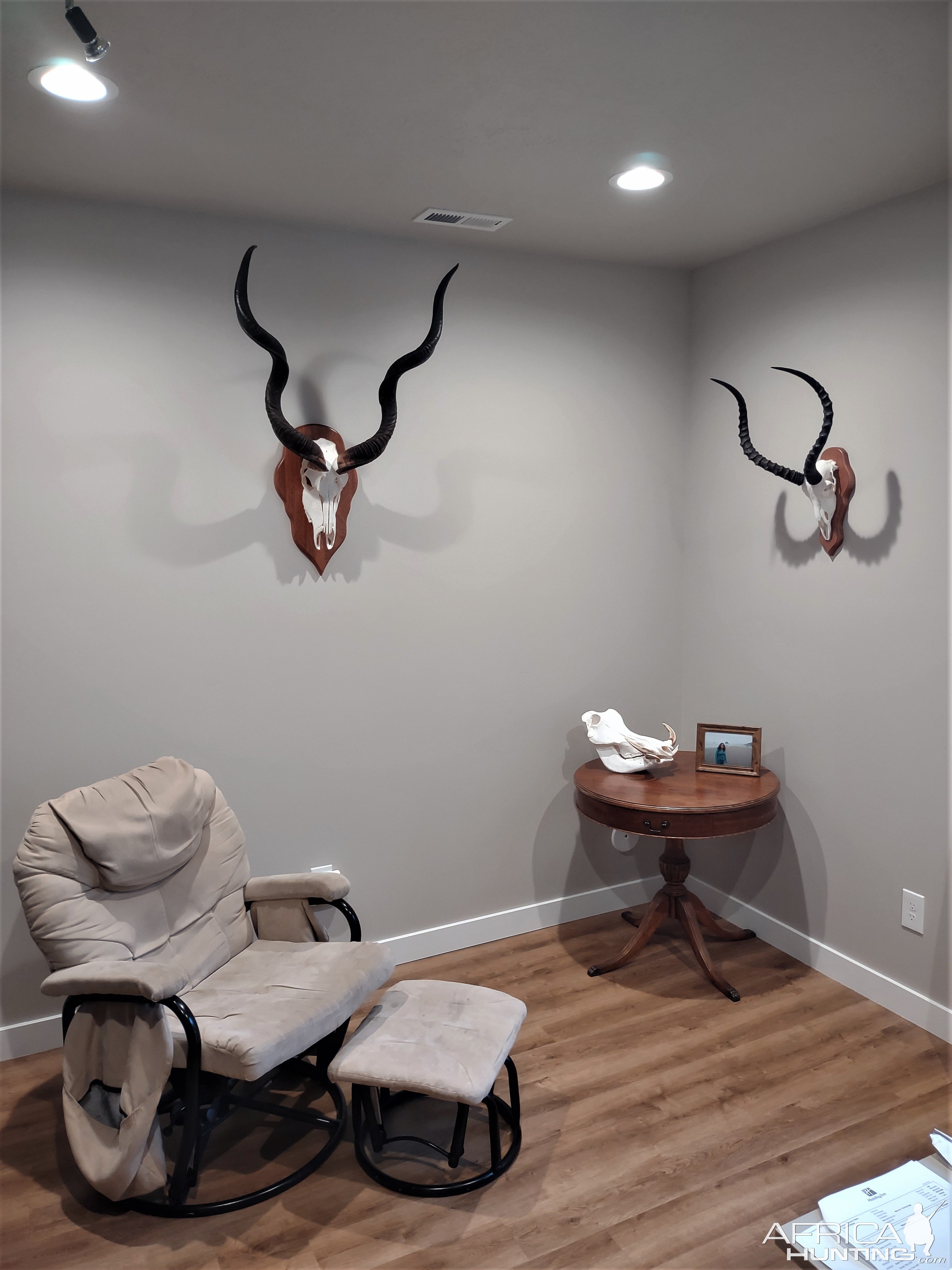 Kudu & Impala European Mounts & Warthog Skull | AfricaHunting.com