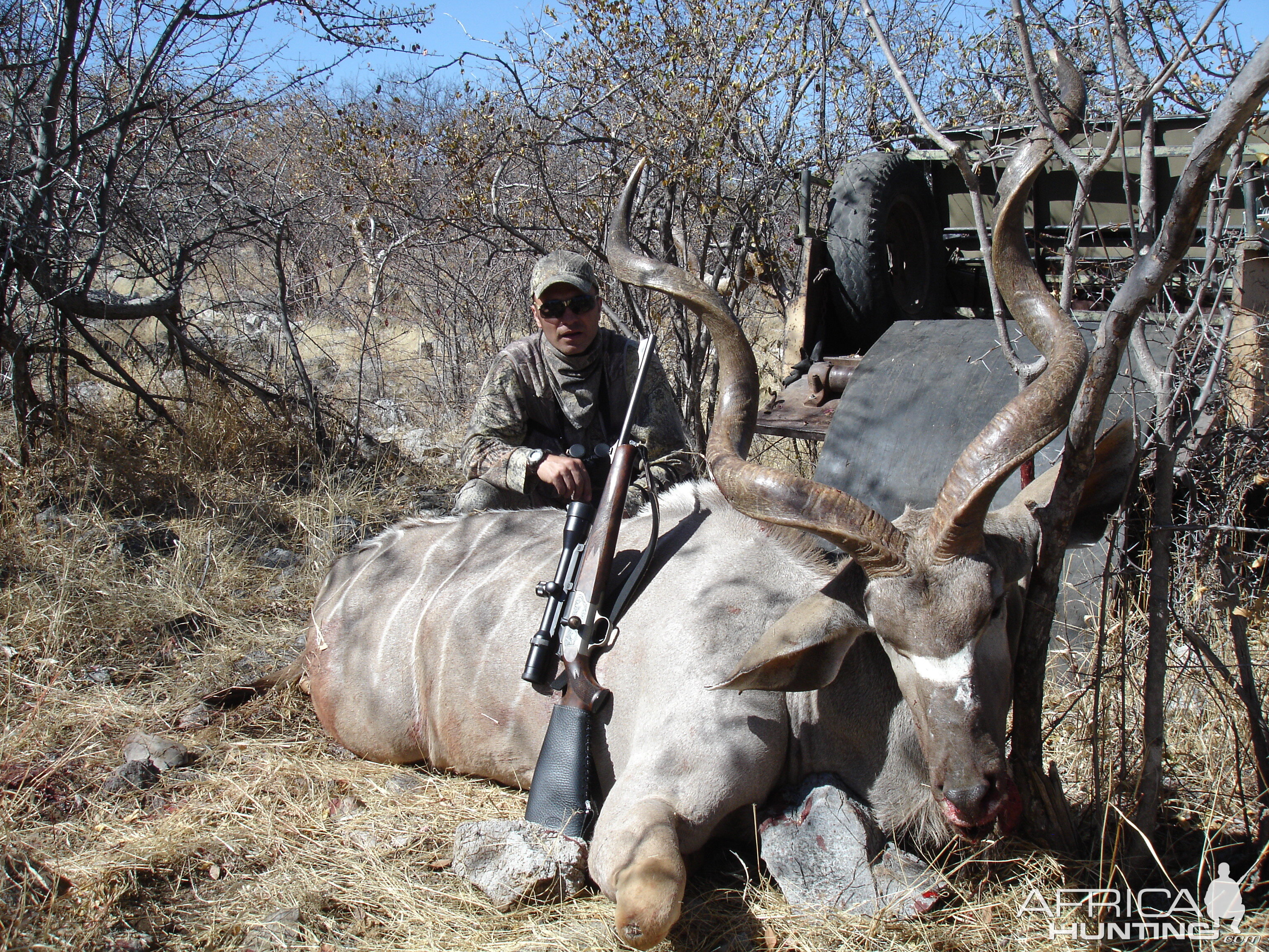 Kudu, Namibia 2012