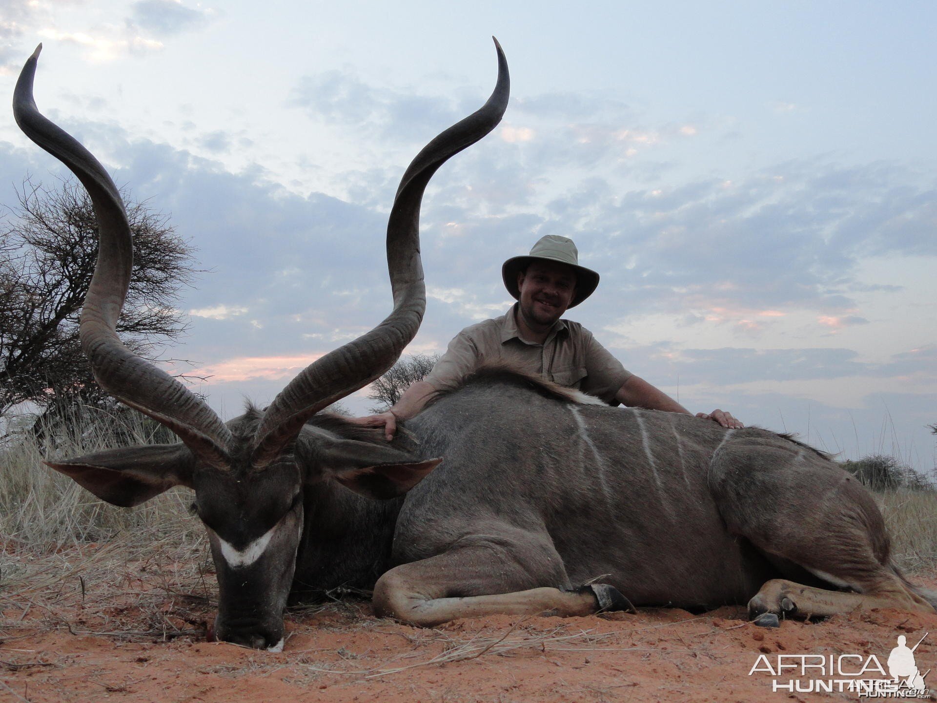 Kudu Namibia