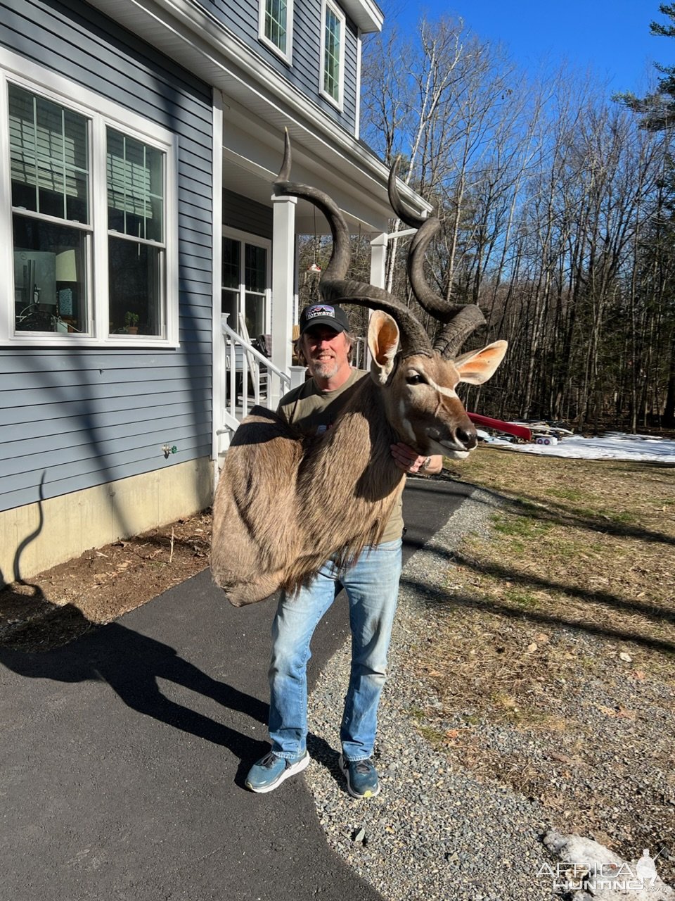 Kudu Shoulder Mount Taxidermy