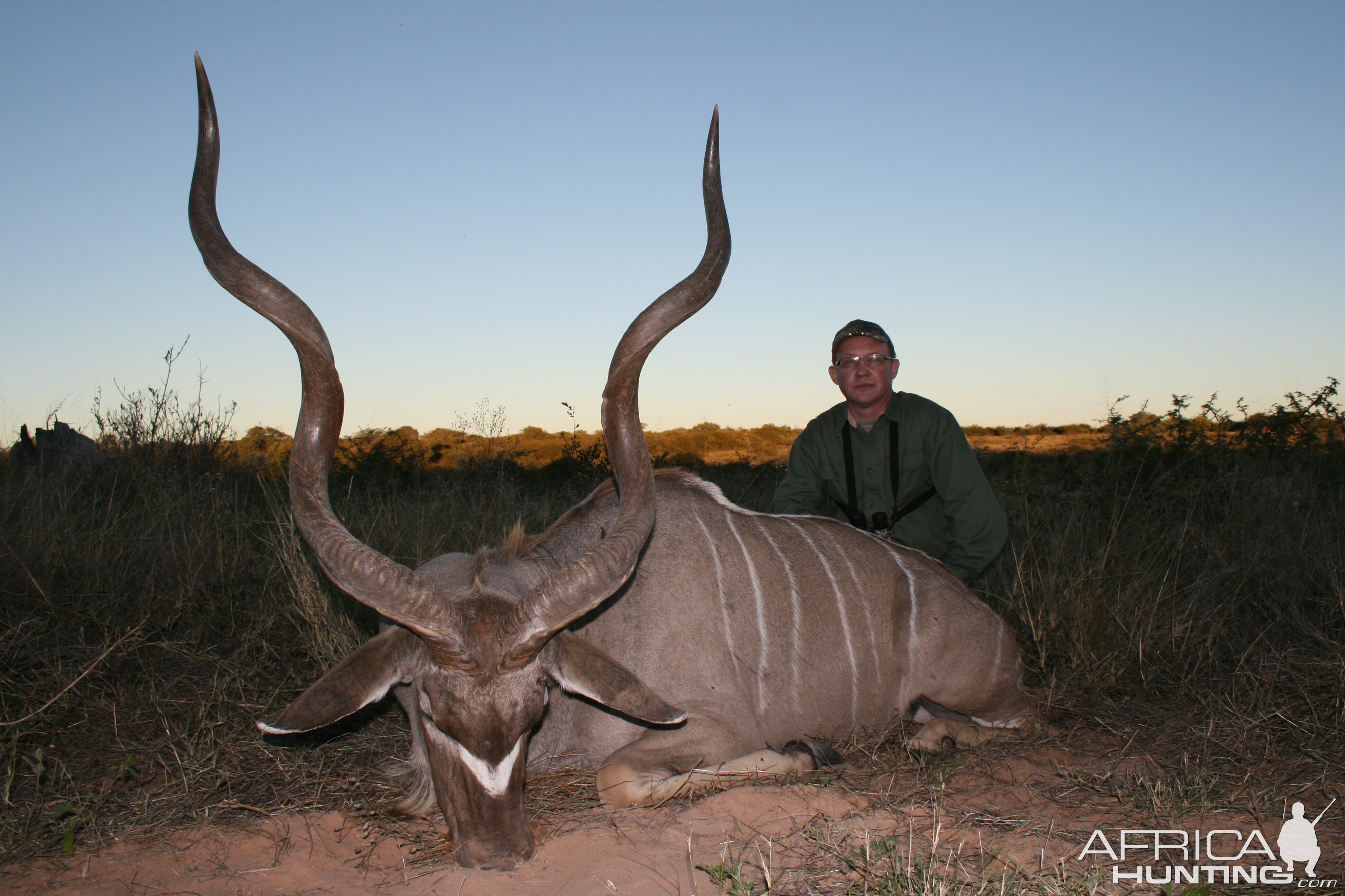 Kudu