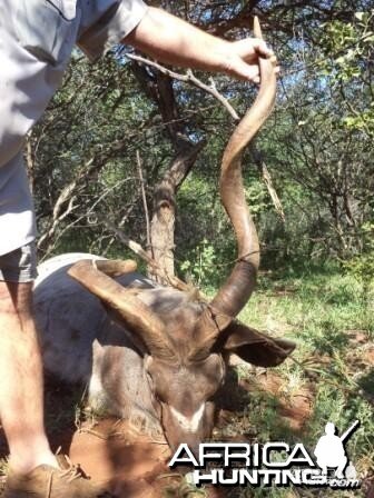 Kudu