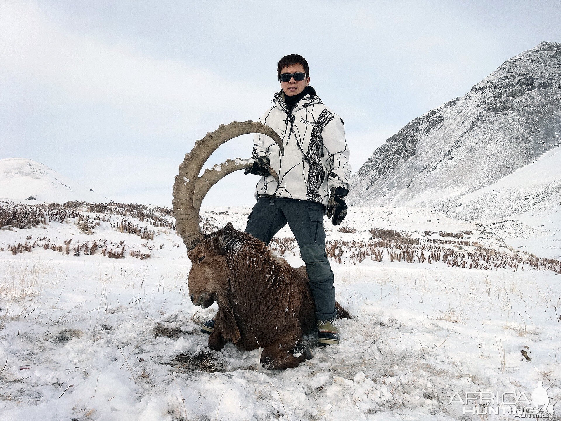 Kyrgyzstan Second Ibex 2015