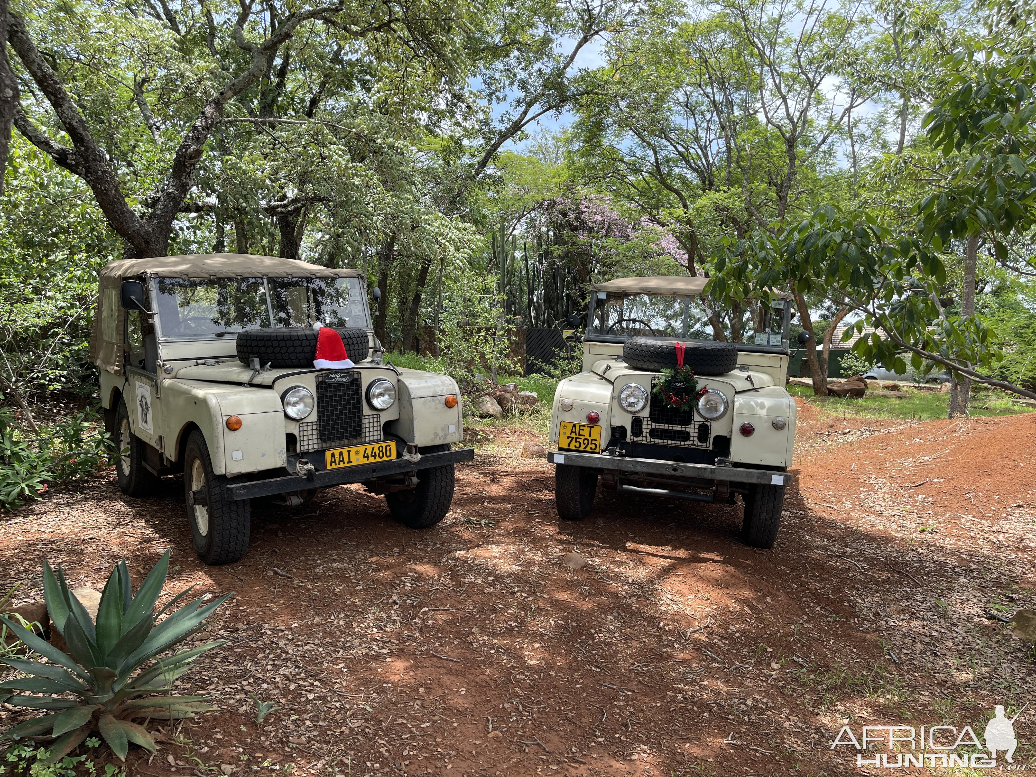 Land Rover Safari Vehicles