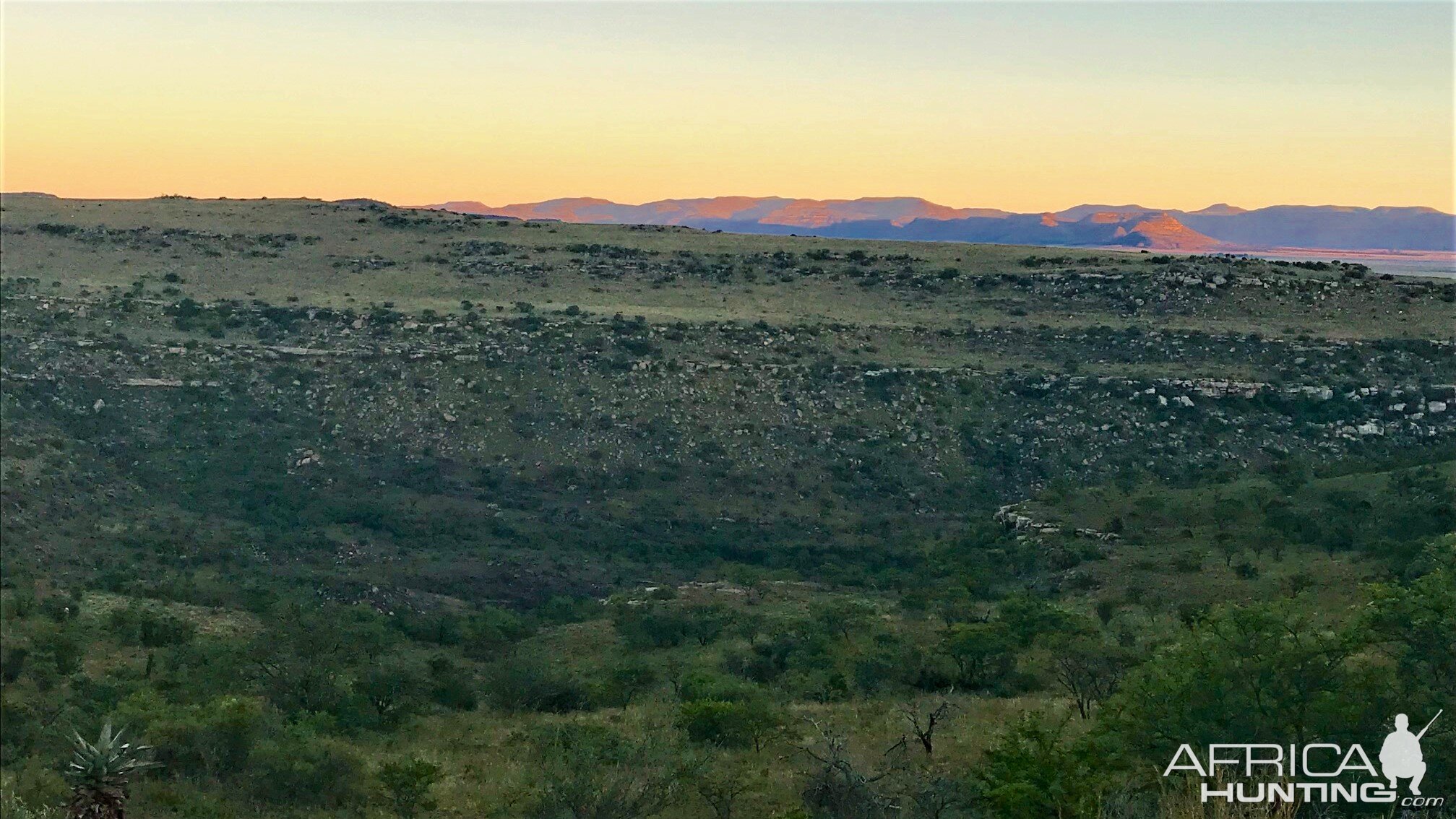 Landscape South Africa