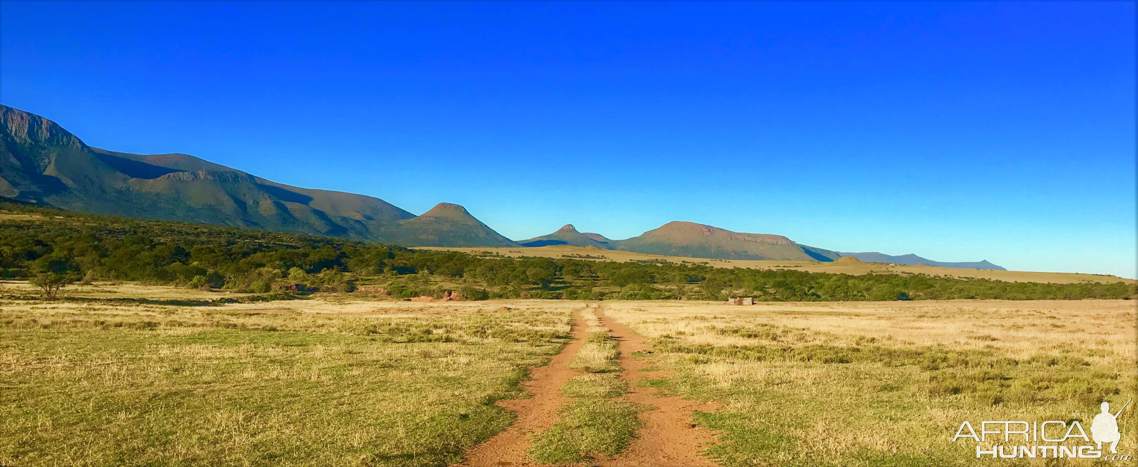 Landscape South Africa