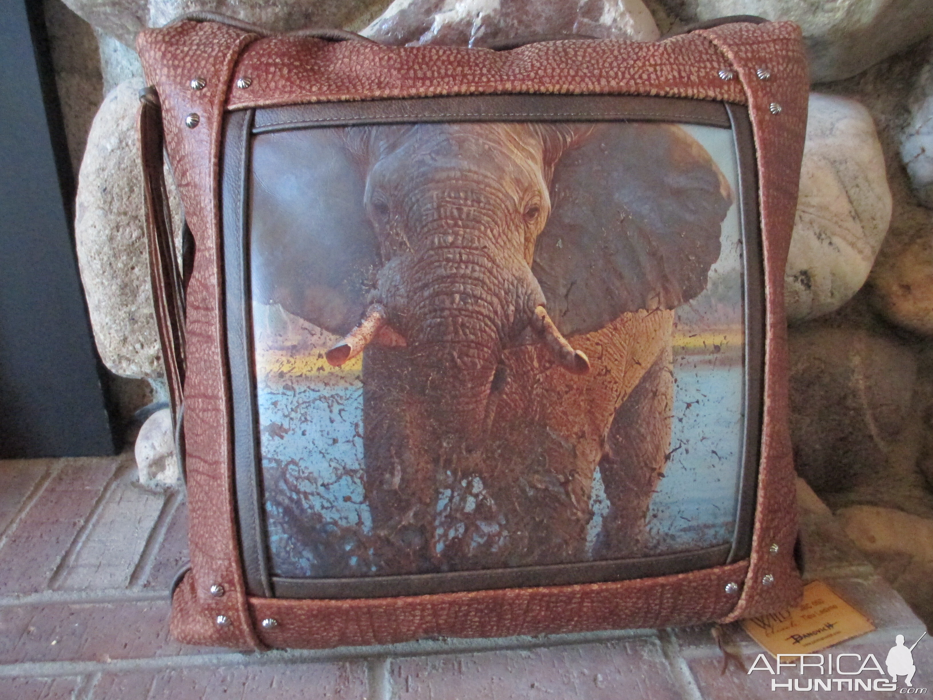 Leather Pillow with painting by John Banovich