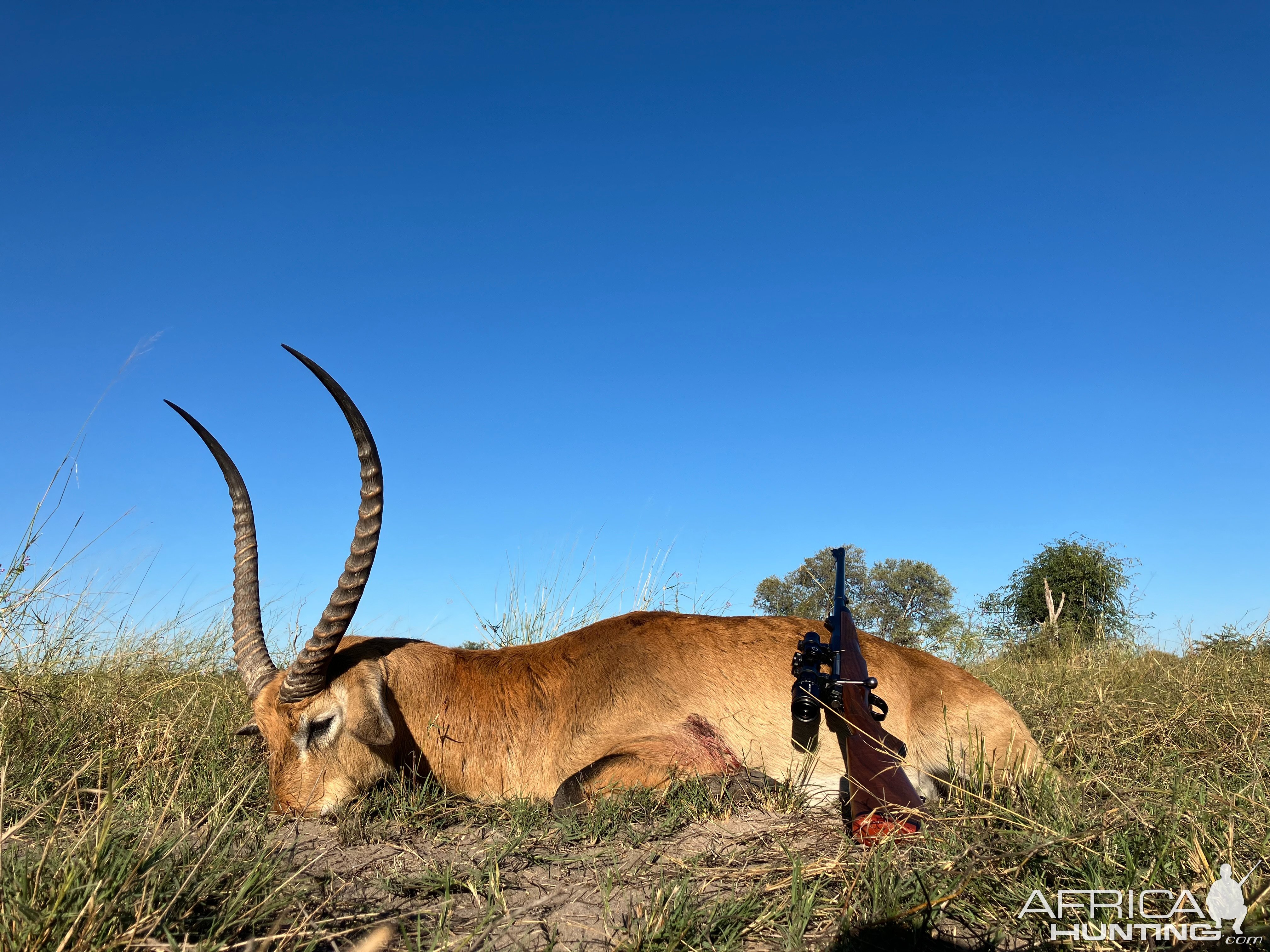 Lechwe Hunt Bwabwata West Namibia