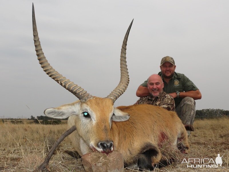 Lechwe Hunting in Namibia