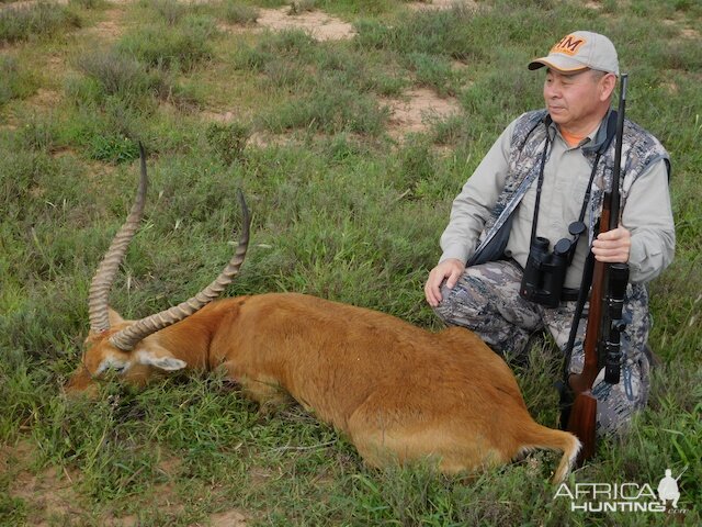Lechwe Hunting in South Africa