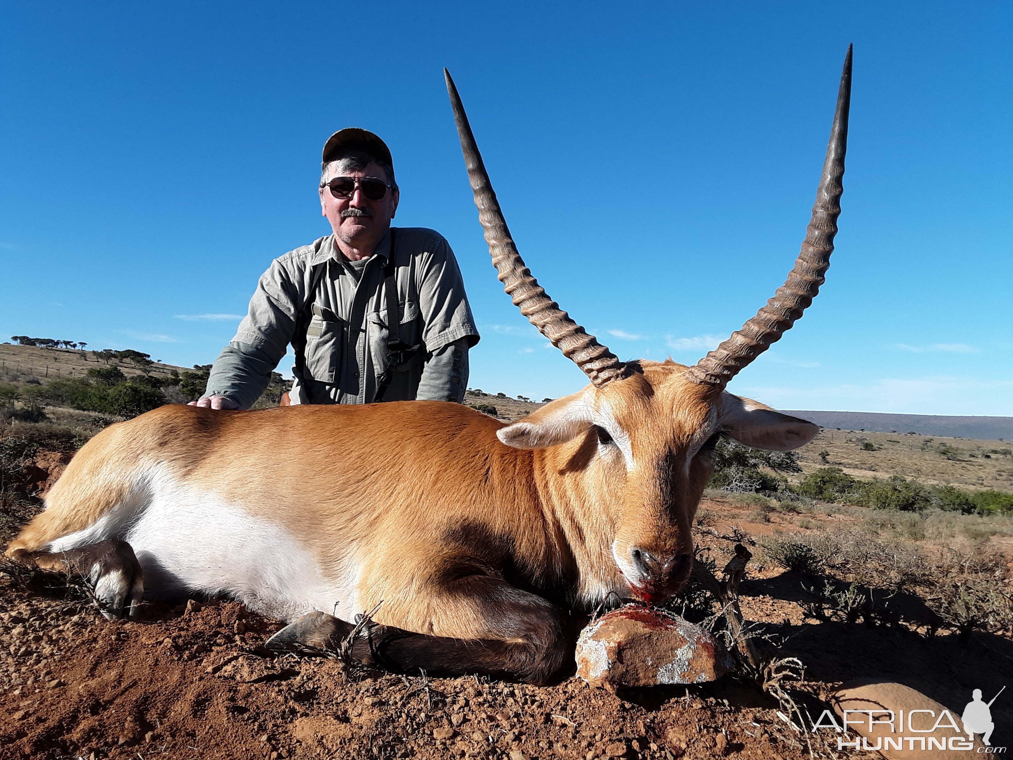 Lechwe Hunting South Africa
