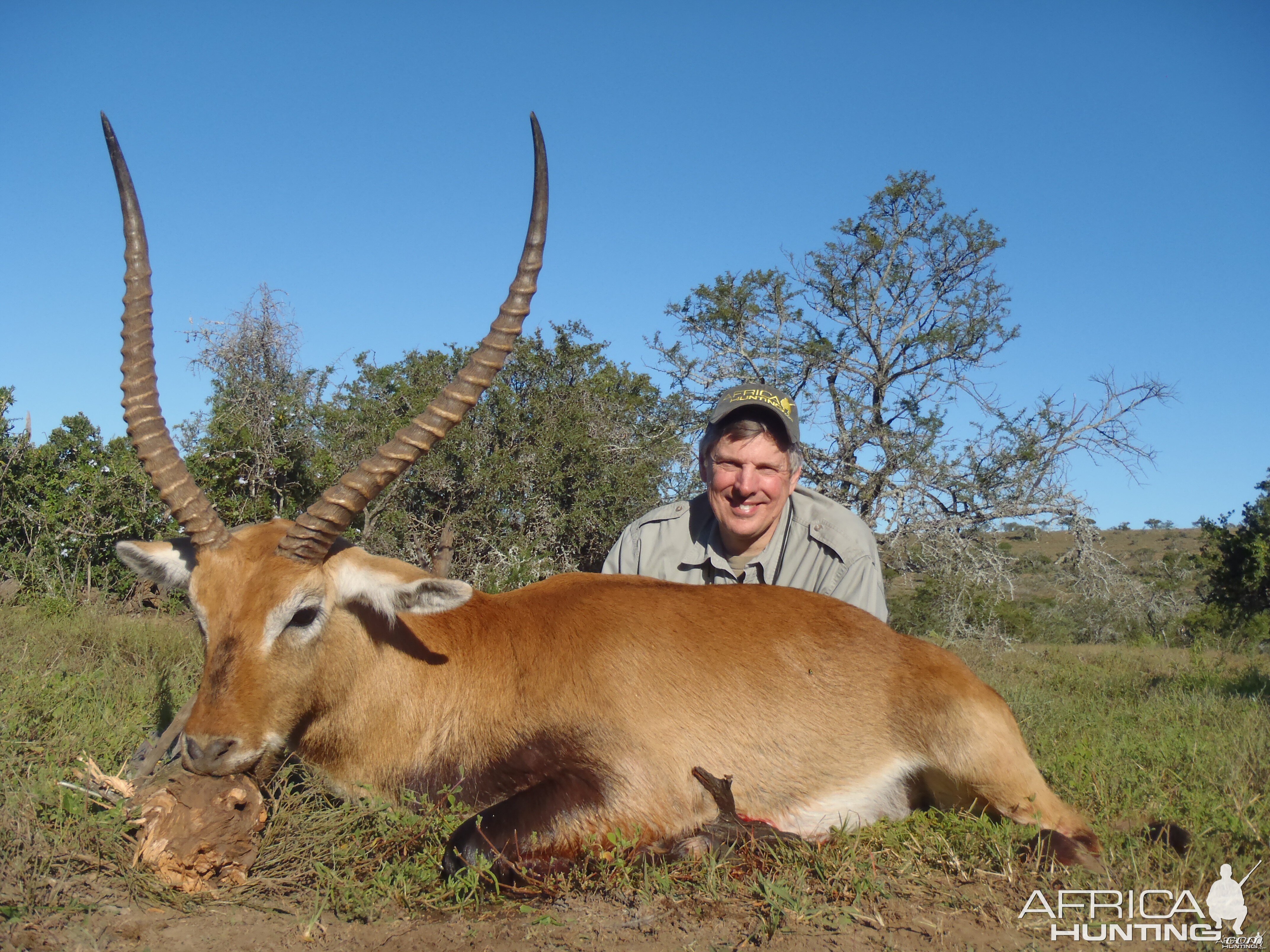 Lechwe