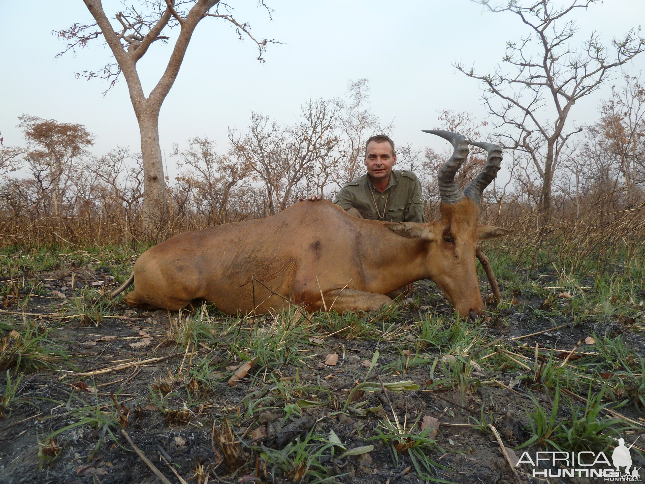 Lelwel Hartebeest hunted in Central Africa with Club Faune