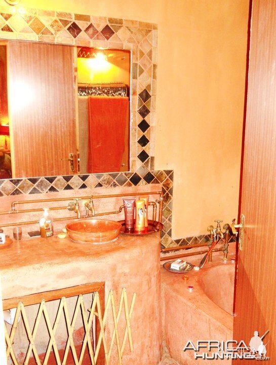 Leopard Bathroom