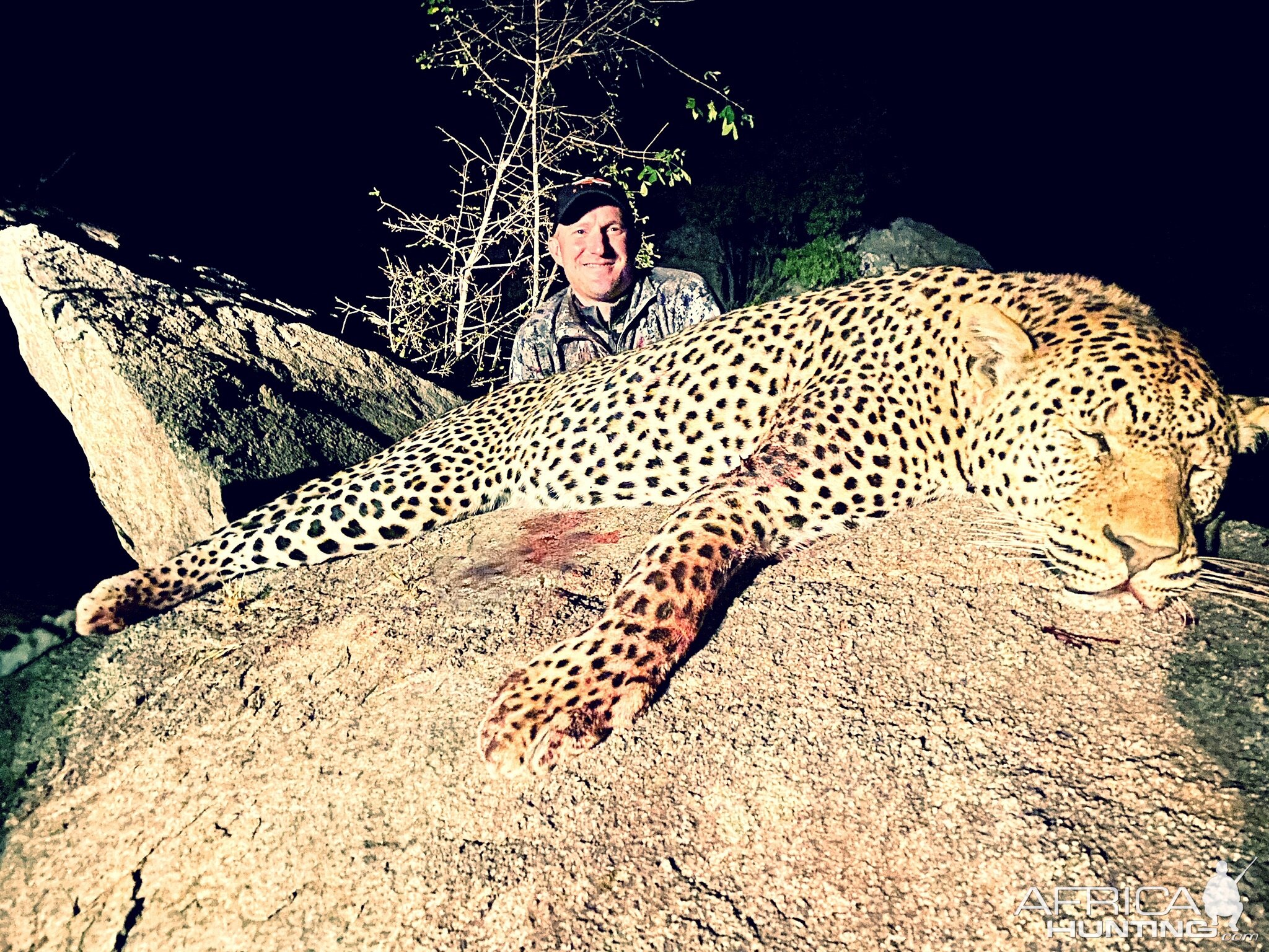 Leopard Bowhunting Zimbabwe | AfricaHunting.com