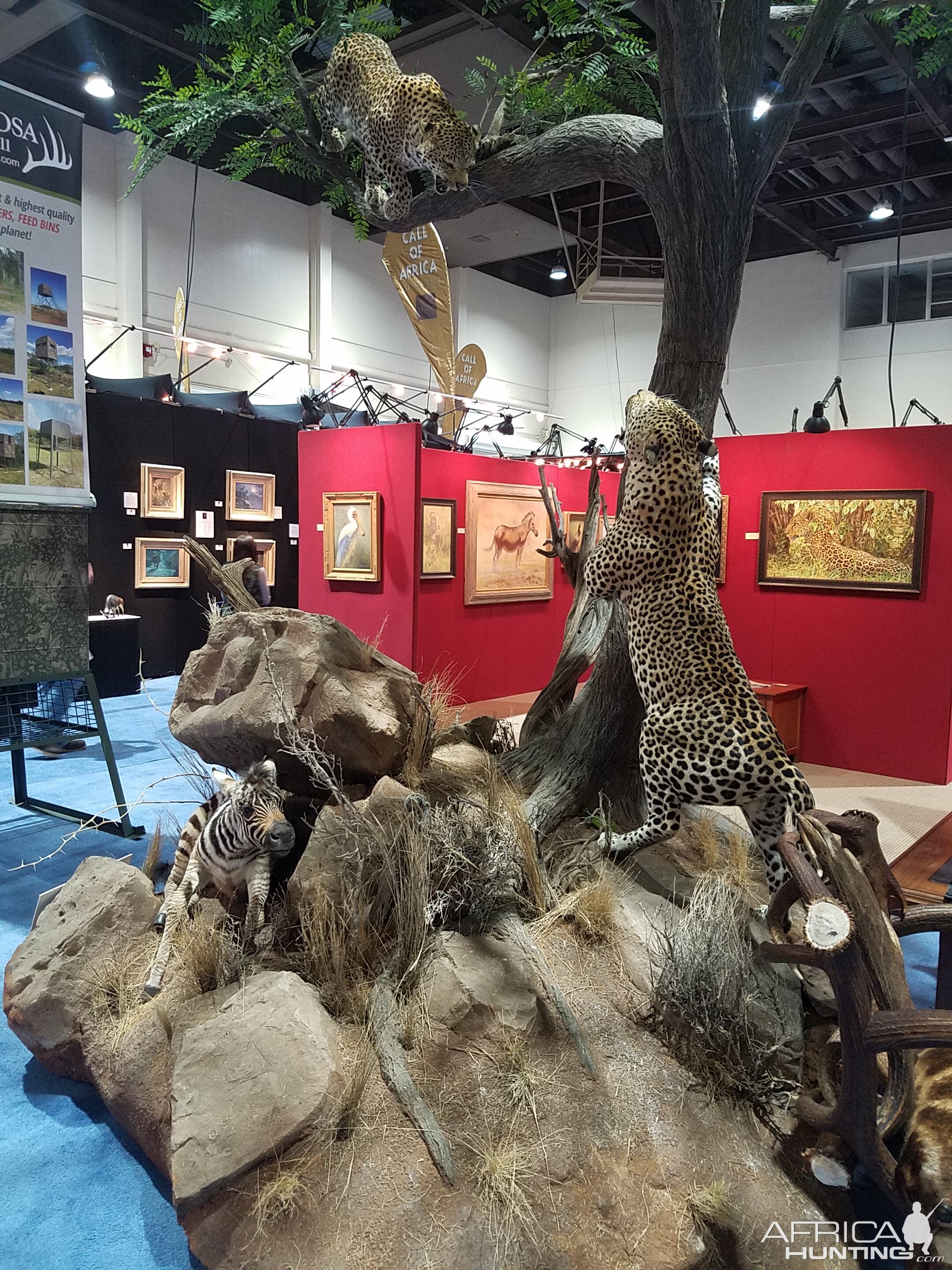 Leopard Full Mount Taxidermy at Safari Club International (SCI) Convention Reno 2020