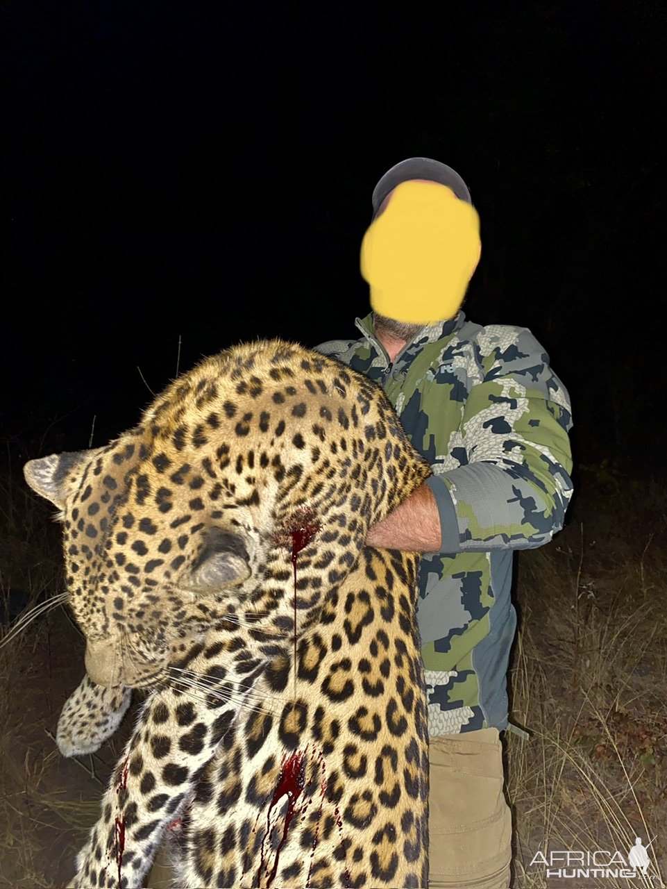 Leopard Hunt Botswana
