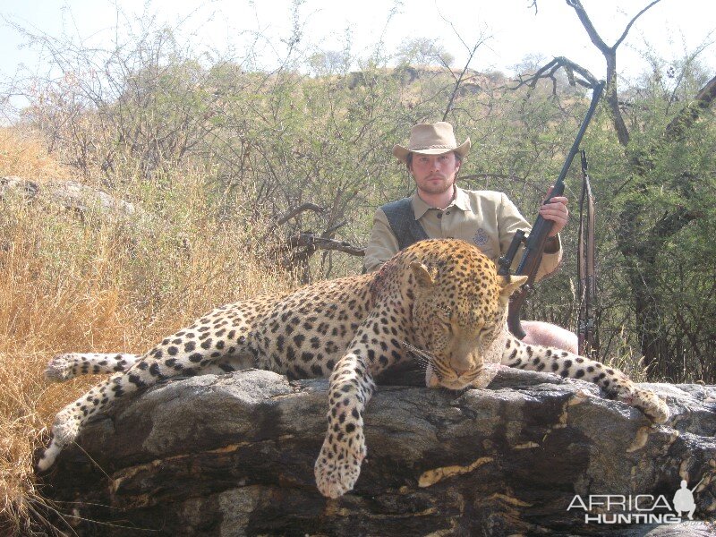 Leopard Hunt in Namibia