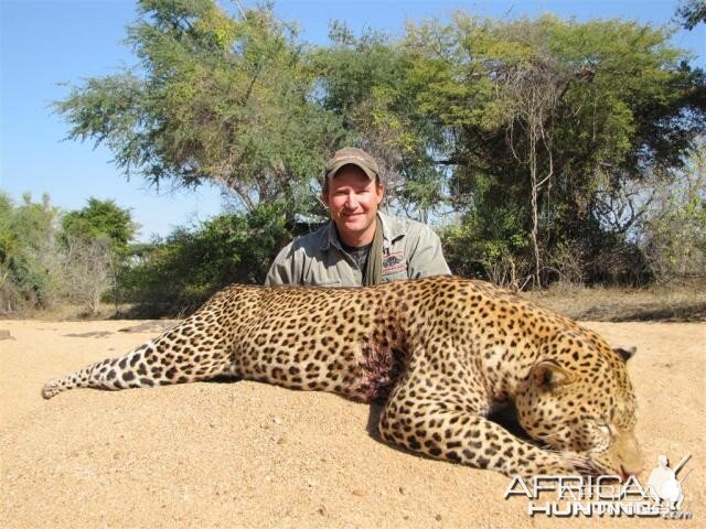 Leopard Hunt in Save Valley Conservancy Zimbabwe