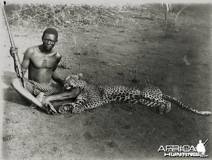 Leopard hunt in Wakenga, old Nyassaland