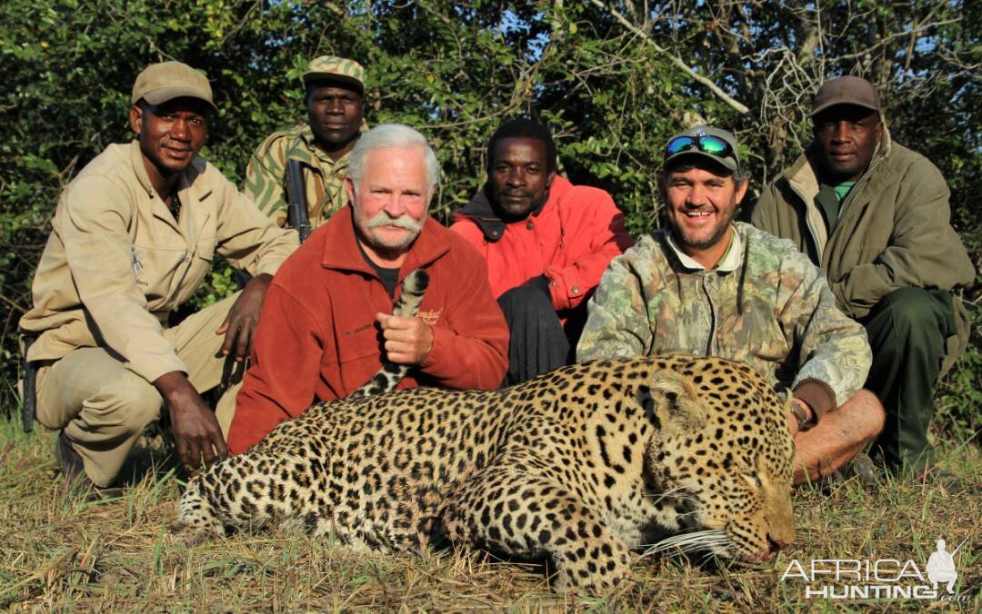 Leopard Hunt in Zambia